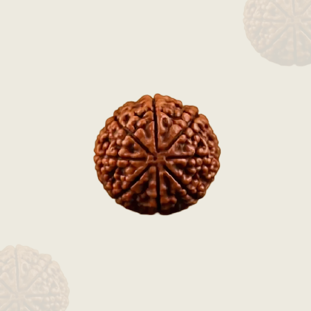 Rudraksha