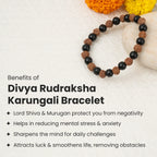 Original Rudraksha + Karungali Bracelet